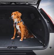 Image result for Isofix Dog Car Seat