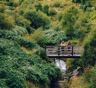 Image result for Hafren Forest Powys