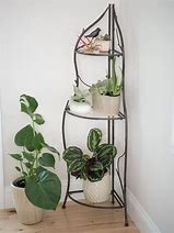 Image result for Corner Plant Stands Indoor