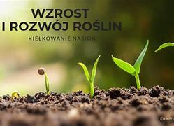 Image result for czynniki_ekologiczne