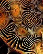 Image result for Optical Quantum Computing