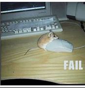 Image result for Funny Computer Mouse