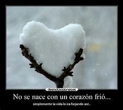 Image result for Corazon Frio Quote