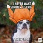 Image result for Humorous Autumn Memes