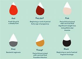 Image result for Different Types of Period Blood Color
