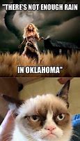 Image result for oklahoma cats memes origins