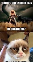 Image result for oklahoma cats memes origins
