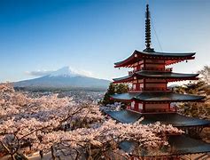 Image result for Tokyo Japan Travel