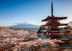 Image result for Japan Vacation