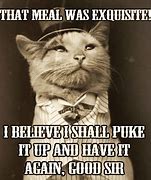 Image result for Inappropriate Funny Cat Memes