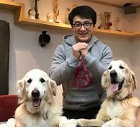 Image result for Jackie Chan Tumblr