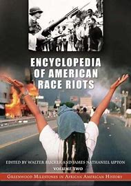Image result for Race Riots Books