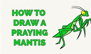 Image result for Draw Praying Mantis