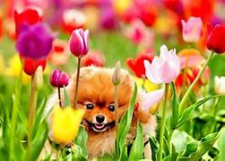 Image result for Spring Free Background Wallpaper with Dog