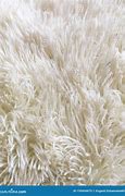 Image result for White Fuzzy Texture
