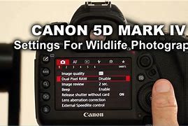 Image result for 5D Camera Nature Shot