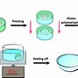 Image result for Transparent Contact Lenses
