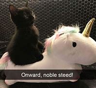 Image result for Best Unicorn Meme