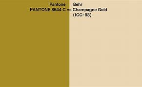 Image result for Pantone Champagne Gold Codigo