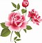 Image result for 1 Rose Clip Art