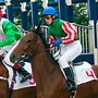 Image result for Horse Racing Icon