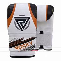 Image result for Bag Mitts Boxing