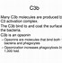 Image result for C3 and C4 Complement