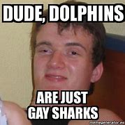 Image result for Dolphin Meme Fish