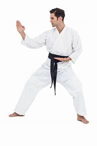 Image result for Karate Fighting Stance