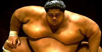 Image result for Fat Sumo Wrestling