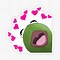 Image result for Kermit Hearts Meme Sticker