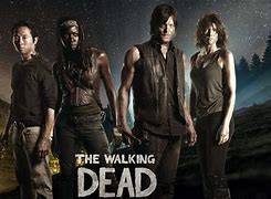 Image result for Walking Dead TV Show