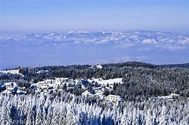 Image result for Kopaonik Planina