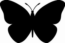 Image result for Butterfly Vector Free