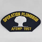 Image result for AFSWP Stickers