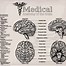 Image result for Human Brain Functions Chart