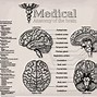 Image result for Healthy Functioning Human Brain