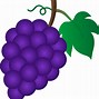 Image result for Cartoon Grape Vine