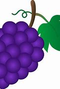 Image result for A Bunch of Grapes Cartoon