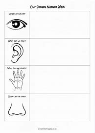Image result for 5 Senses Mindfulness