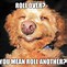 Image result for Who's Awesome Dog Meme