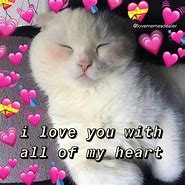 Image result for Cute Cat Love Memes