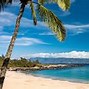 Image result for Ritz-Carlton Hawaii