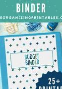 Image result for Budget Binder