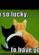 Image result for Lucky You Meme