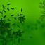Image result for iPhone 6 Wallpaper Green