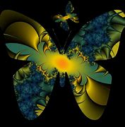 Image result for Butterfly Fractal