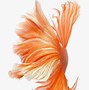 Image result for iPhone 6s Live Wallpaper