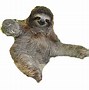 Image result for Cute Sloth Smiling