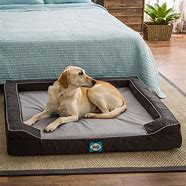 Image result for Big Dog Beds